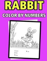 Rabbit color by numbers: coloring book for kids ages 4-8 B087SFZ5TX Book Cover