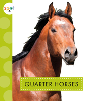 Quarter Horses 1645492486 Book Cover