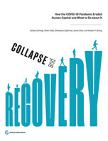 Collapse and Recovery: How the COVID-19 Pandemic Eroded Human Capital and What to Do about It 1464819017 Book Cover