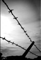 Four Nights in Brooklyn 1105651932 Book Cover