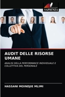 AUDIT DELLE RISORSE UMANE: ANALISI DELLA PERFORMANCE INDIVIDUALE E COLLETTIVA DEL PERSONALE 6203357006 Book Cover