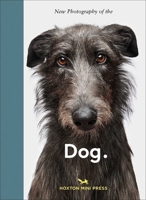 New Photography of the Dog. 1917719493 Book Cover