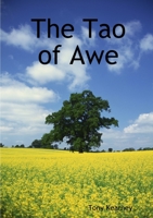 The Tao of Awe 1471641120 Book Cover