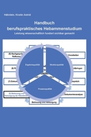 Handbuch berufspraktisches Hebammenstudium: Leistung wissenschaftlich fundiert sichtbar gemacht Lehr- und Arbeitsinstrumente, Standard Praxisanleitung 3384186494 Book Cover