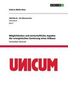 Möglichkeiten und wirtschaftliche Aspekte der energetischen Sanierung eines Altbaus 365628024X Book Cover