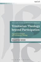 Trinitarian Theology Beyond Participation: Augustine's de Trinitate and Contemporary Theology 0567541320 Book Cover