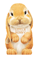 Little Bunny 0764165097 Book Cover