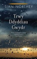 Trwy Ddyddiau Gwydr 1845273761 Book Cover