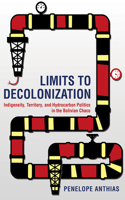 Limits to Decolonization: Indigeneity, Territory, and Hydrocarbon Politics in the Bolivian Chaco 1501714368 Book Cover
