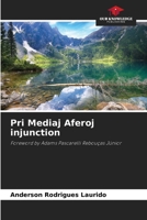 Pri Mediaj Aferoj injunction 6207950593 Book Cover