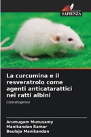 La curcumina e il resveratrolo come agenti anticatarattici nei ratti albini (Italian Edition) 6630313550 Book Cover