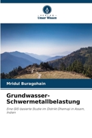 Grundwasser-Schwermetallbelastung (German Edition) 6209636098 Book Cover