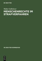 Menschenrechte Im Strafverfahren: Mrk Und Ipbpr 3899492226 Book Cover