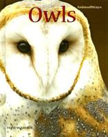 Owls (Animal Ways) 0761425373 Book Cover