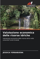 Valutazione economica delle risorse idriche: Valutazione economica della risorsa idrica nella comunità Tunshi Grande 6205294281 Book Cover