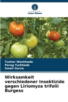 Wirksamkeit verschiedener Insektizide gegen Liriomyza trifolii Burgess (German Edition) 6209548423 Book Cover