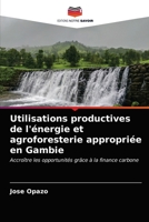 Utilisations productives de l'énergie et agroforesterie appropriée en Gambie: Accroître les opportunités grâce à la finance carbone 620299360X Book Cover