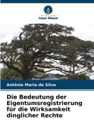 Die Bedeutung der Eigentumsregistrierung für die Wirksamkeit dinglicher Rechte 6206883051 Book Cover