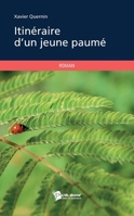Itinéraire d'un jeune paumé (French Edition) 2748371321 Book Cover