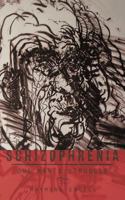 Schizophrenia: One Man's Struggle 1477254277 Book Cover