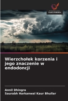 Wierzcholek korzenia i jego znaczenie w endodoncji (Polish Edition) 6209903703 Book Cover