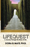 LifeQuest: A Journey Through the Maze of Life 1637693486 Book Cover