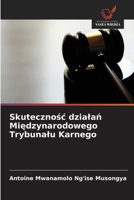 Skutecznosc dzialan Miedzynarodowego Trybunalu Karnego (Polish Edition) 6630307984 Book Cover