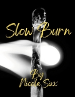 Slow Burn 1716028728 Book Cover