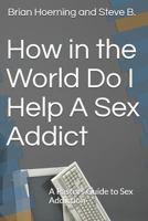 How in the World Do I Help A Sex Addict: A Pastors Guide to Sex Addiction 1726778401 Book Cover