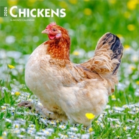 Chickens 2026 12 X 24 Inch (Hanging) Monthly Square Wall Calendar Plastic-Free B0DYL689ZJ Book Cover