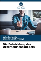Die Entwicklung des Unternehmensbudgets (German Edition) 620859734X Book Cover