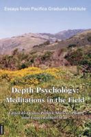 Depth Psychology: Meditations in the Field 3856305971 Book Cover