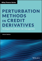 Perturbation Methods in Credit Derivatives: Strategies for Efficient Risk Management 1119609615 Book Cover
