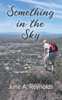 Something in the Sky 1480917192 Book Cover