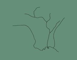 The Western Edge 1915743842 Book Cover