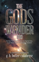 The Gods Wonder Too: Musings From Out of the Ether 0228814715 Book Cover