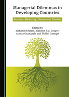 Managerial Dilemmas in Developing Countries: Business, Marketing, Finance and Tourism 1527530310 Book Cover