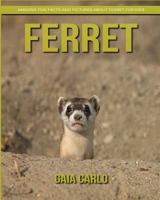 Ferret: Amazing Fun Facts and Pictures about Ferret for Kids 1981324666 Book Cover