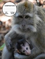 Composition: Monkey Theme College Ruled Composition Book 7.44 x 9.69, 100 sheets, 200 pages, book for school, boys, girls, kids, teachers and students, (Composition Notebooks: College Ruled) Volume 15 172483844X Book Cover