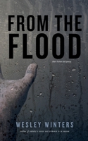 From the Flood: Short Fiction and Poetry B0DWMKBKVS Book Cover