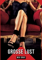 Große Lust: Geschichten mit explizitem Sex für Erwachsene (German Edition) 3384150465 Book Cover
