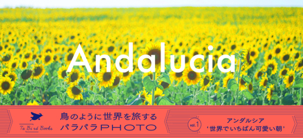 Andalucia Photo Flip Book 4902097818 Book Cover