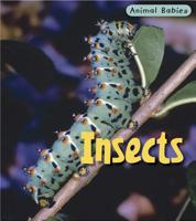 Insectos/ Insects (Crias/ Animal Babies) 1575725436 Book Cover