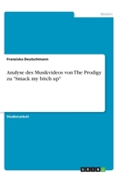 Analyse des Musikvideos von The Prodigy zu "Smack my bitch up" (German Edition) 3668882789 Book Cover