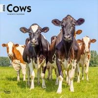Cows 2026 12 X 24 Inch (Hanging) Monthly Square Wall Calendar Plastic-Free B0DYKNWW5K Book Cover