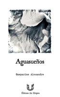 Aguasueños: Pollutions nocturnes et grande déconfiture (French Edition) 2959928717 Book Cover
