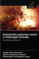 Katastrofa pożarów lasów w Pedrógão Grande: Doświadczenia pielęgniarek 6203190063 Book Cover