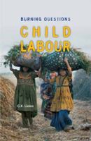 Child Labour: Burning Questions 9052601852 Book Cover