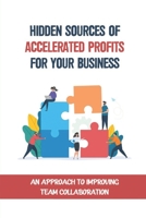 Hidden Sources Of Accelerated Profits For Your Business: An Approach To Improving Team Collaboration: Framework Of The Amp System B09C1FRC47 Book Cover
