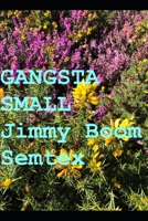 GANGSTA SMALL B0C4X6K2LY Book Cover